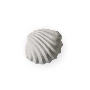 Cooee The Clam Shell Skulptur 13cm Limestone