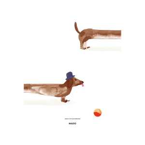 Paper Collective Doug the Dachshund Poster 50 x 70cm