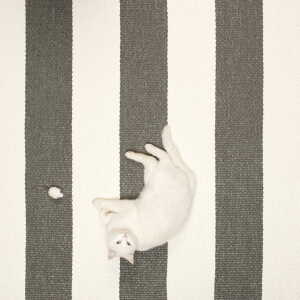 Pappelina - Bob Teppich, 70 x 120 cm, black / vanilla