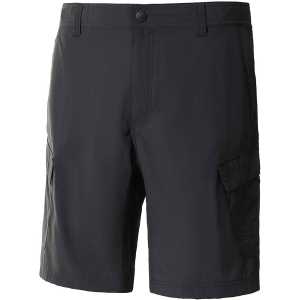 The North Face Men's Horizon shorts