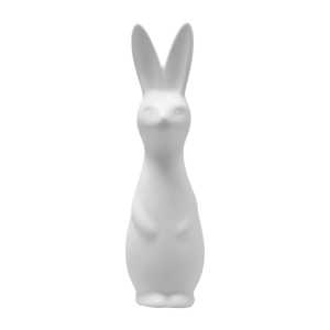 DBKD Swedish rabbit large White