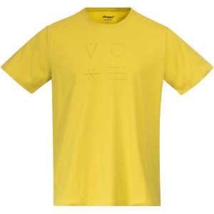 Bergans Herren Graphic T-Shirt