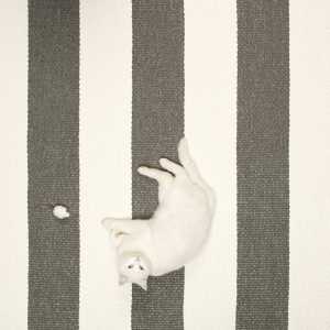 Pappelina - Bob Teppich, 70 x 200 cm, mud / vanilla