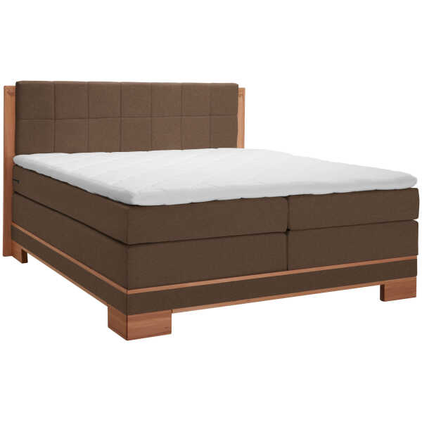 Linea Natura BOXSPRINGBETT Braun, Buche