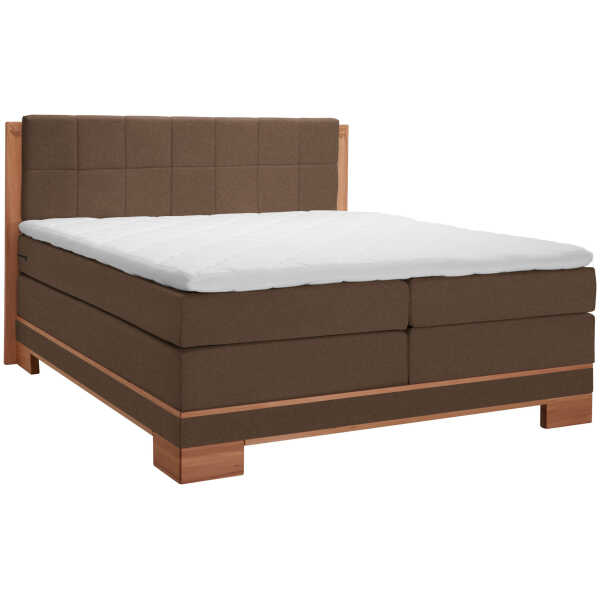 Linea Natura BOXSPRINGBETT Braun, Buche