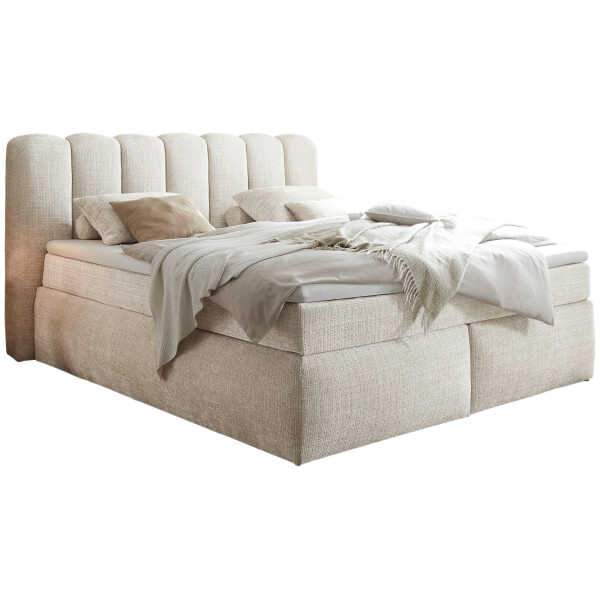 Boxxx BOXSPRINGBETT Creme
