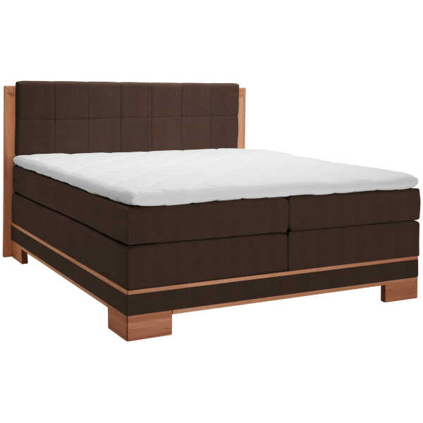 Linea Natura BOXSPRINGBETT Buche, Dunkelbraun