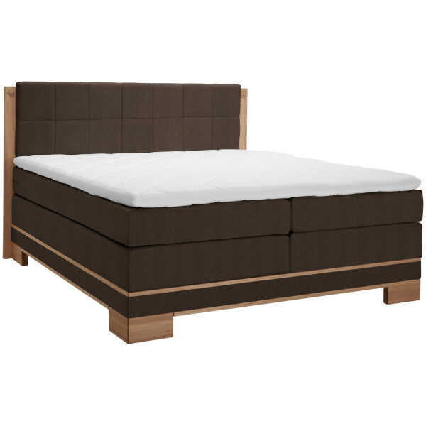 Linea Natura BOXSPRINGBETT Buche, Dunkelbraun