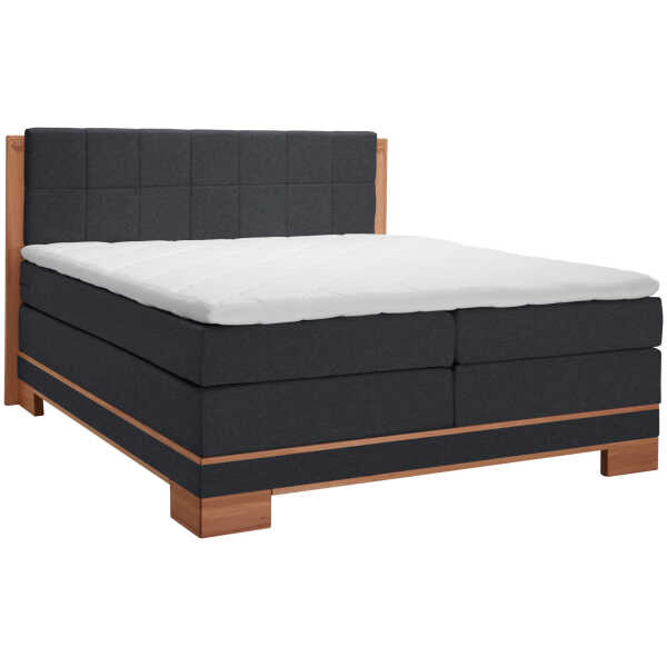 Linea Natura BOXSPRINGBETT Buche, Dunkelgrau