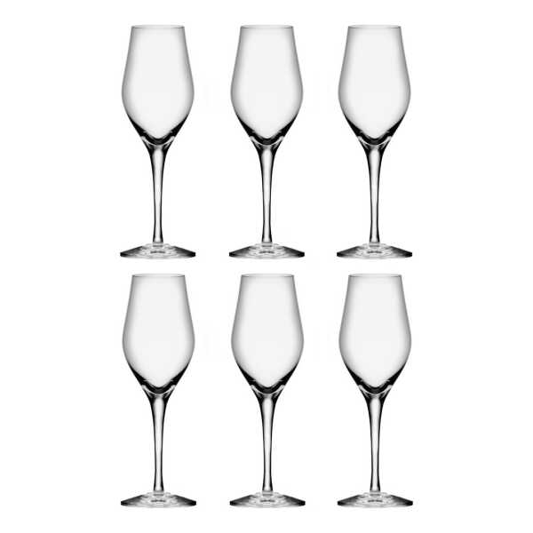 Orrefors Sense Champagnerglas 25,5 cl 6er Pack Klar