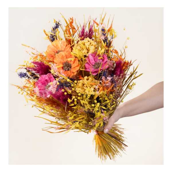 Skandinavische Trockenblumen (58+) online bestellen ¦ SKANDI