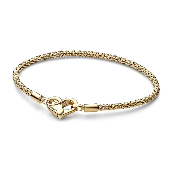Pandora Armband Moments 562731C00-20