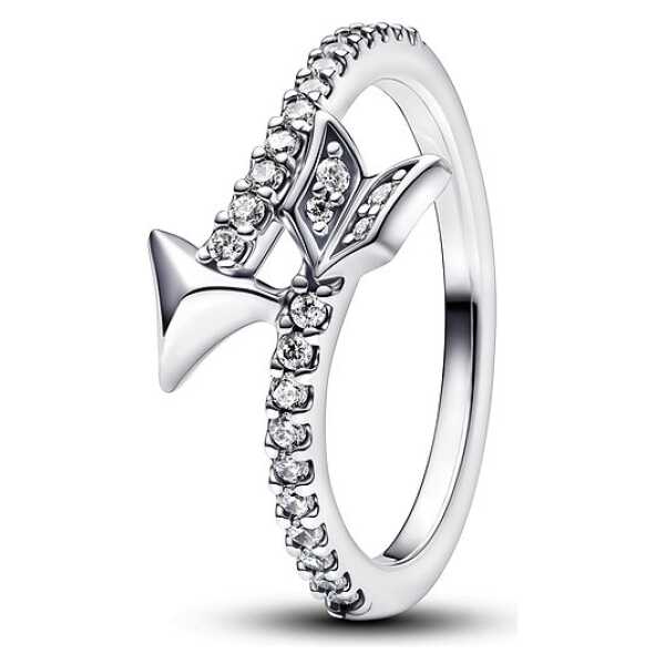 Pandora Damenring Love 193619C01-56