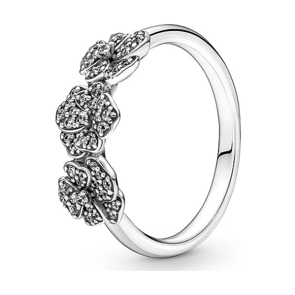 Pandora Damenring Moments 190786C01-56
