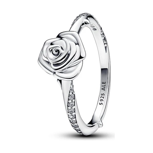 Pandora Damenring Moments 193215C01-56