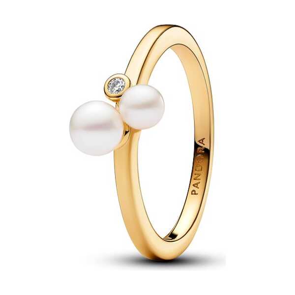 Pandora Damenring Pandora Timeless 163156C01-56
