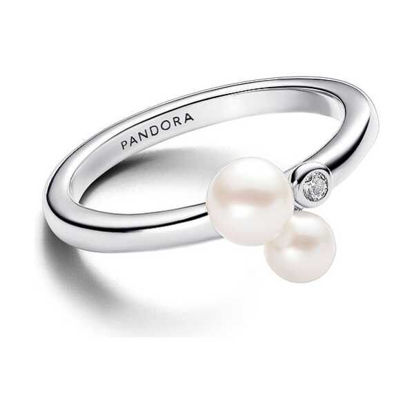 Pandora Damenring Pandora Timeless 193156C01-58