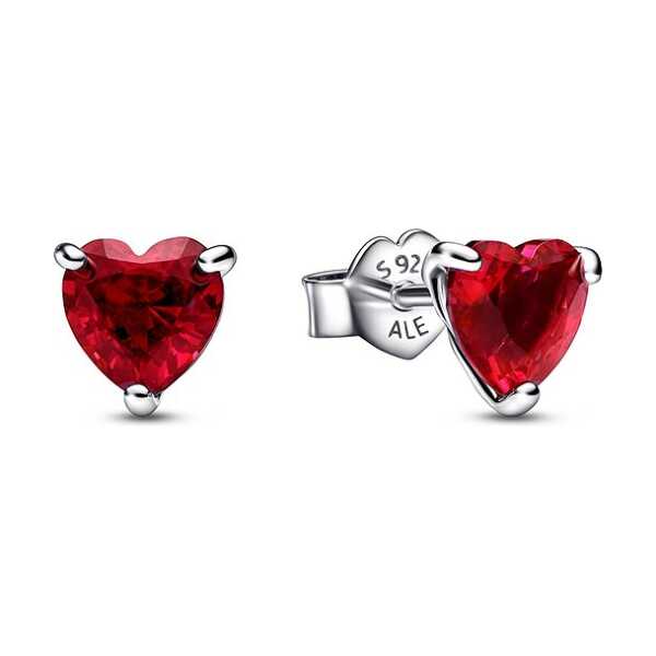 Pandora Ohrstecker Timeless 292549C01