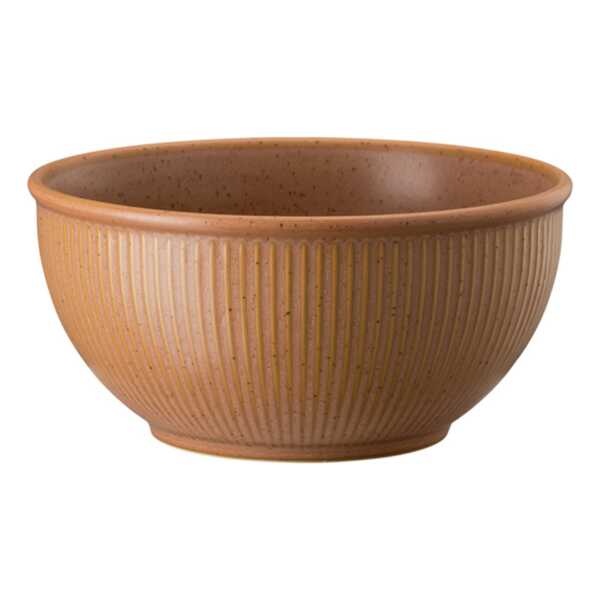 Rosenthal Thomas Clay Müslischale 70cl Orange