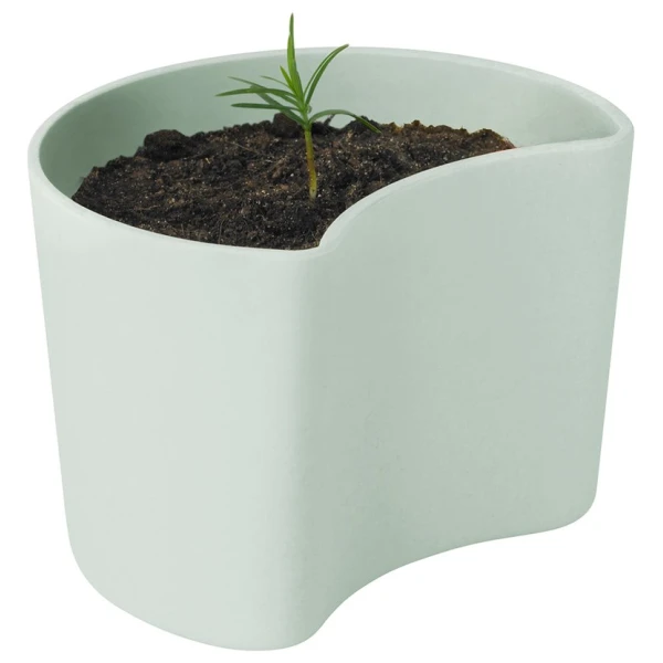 RIG-TIG YOUR TREE Blumentopf mit Samen Grün (Tall)