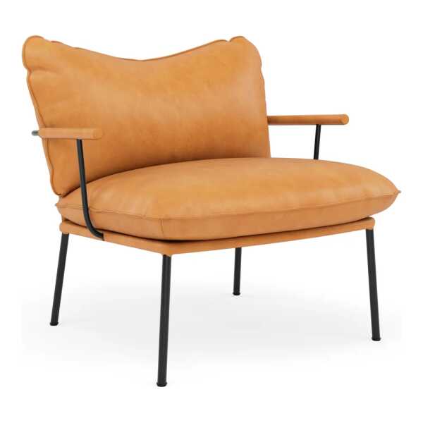 Fogia Pico Sessel Vintage Cognac-RAL 9005