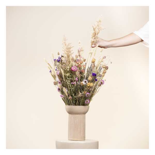 Skandinavische Trockenblumen (58+) online bestellen ¦ SKANDI