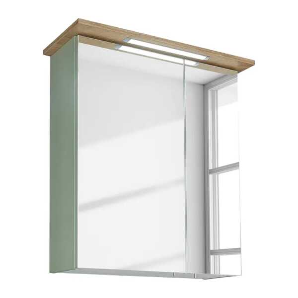 Spiegelschrank 60 x 72 x 20cm Grün