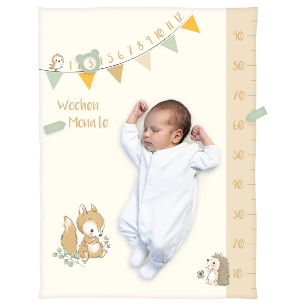 Baby Best Babydecke Microfaserflausch Meilenstein 75x100 cm